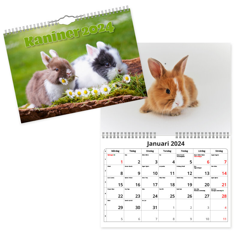 Väggkalender Kaniner Small 2024 240x170