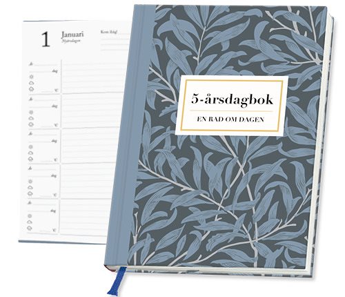 5 års dagbok