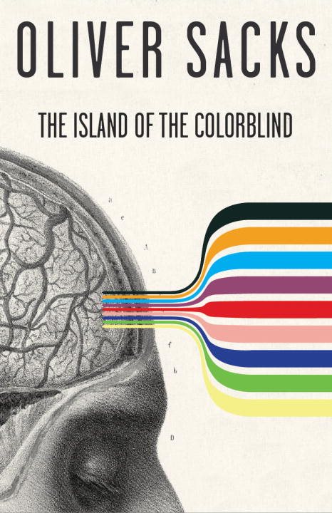 The Island of the Colorblind