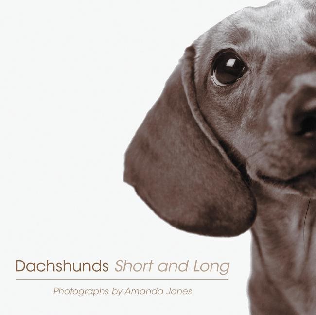 Dachshunds