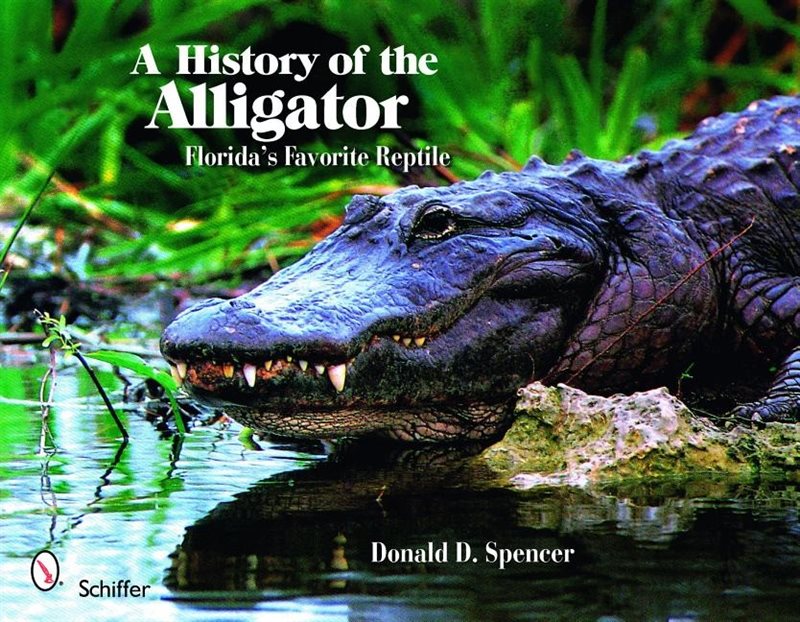 A History Of The Alligator : Florida