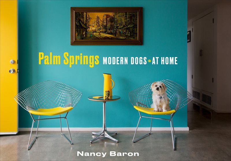 Palm Springs Modern Dogs At Home