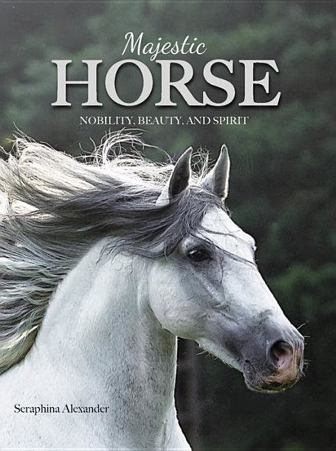 Majestic Horse : Nobility, Beauty, and Spirit