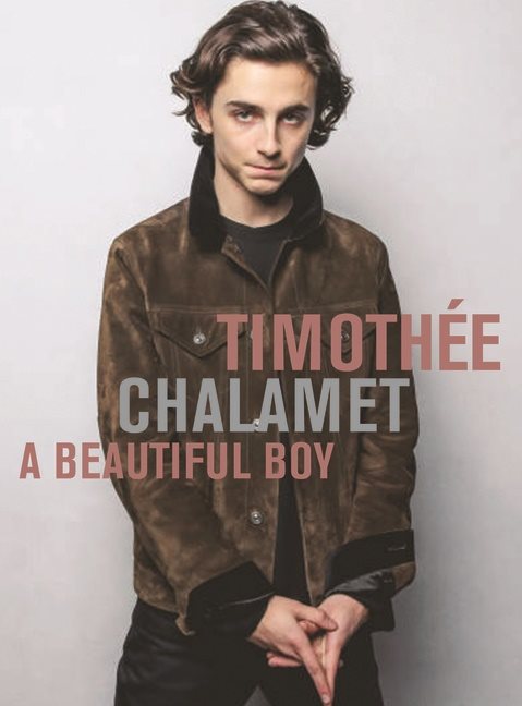 Timothee Chalamet: A Beautiful Boy