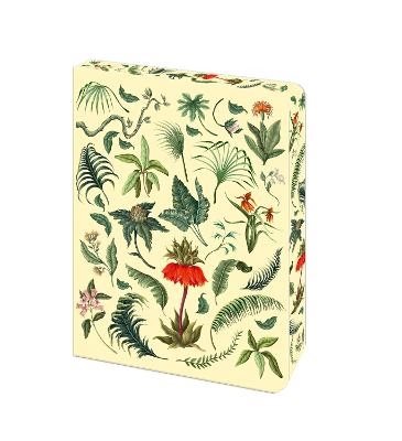 The Fern Journal