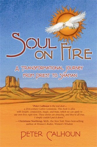 Soul on fire - a transformational journey from priest to shaman