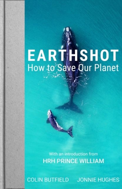 Earthshot