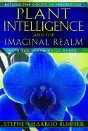 Plant intelligence and the imaginal realm - beyond the doors of perception