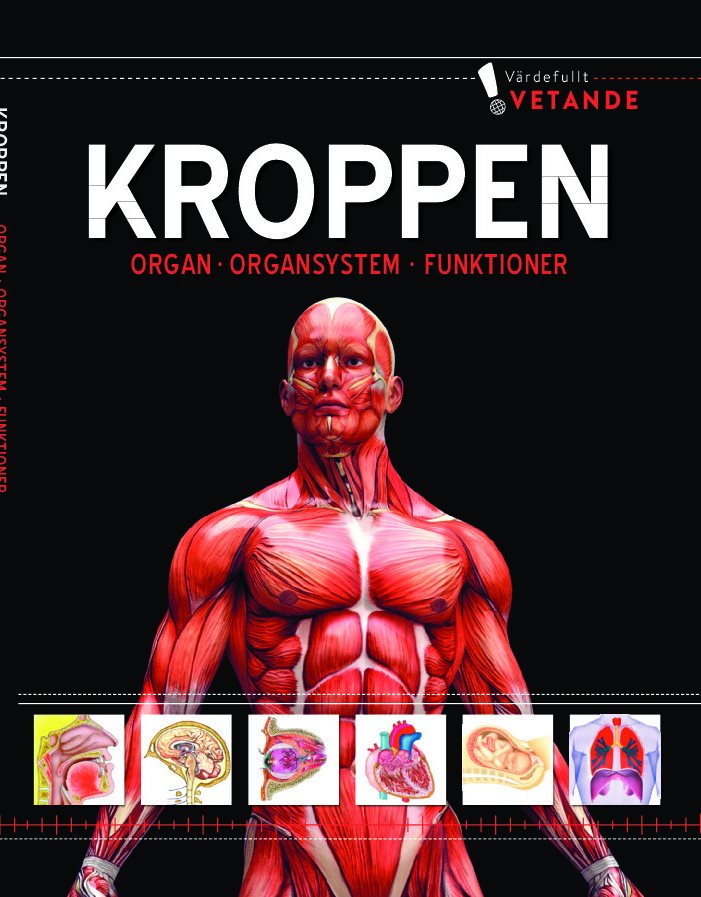 Kroppen : organ, organsystem, funktioner