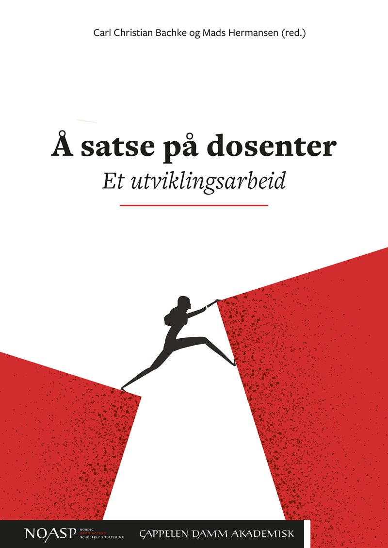 Å satse på dosenter : et utviklingsarbeid