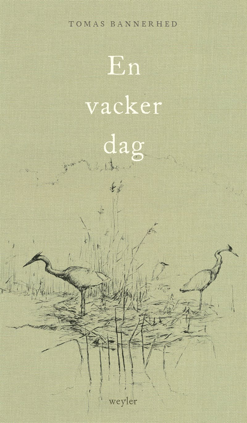 En vacker dag