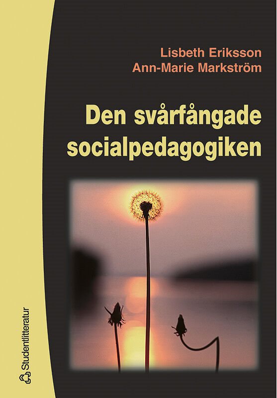 Den svårfångade socialpedagogiken