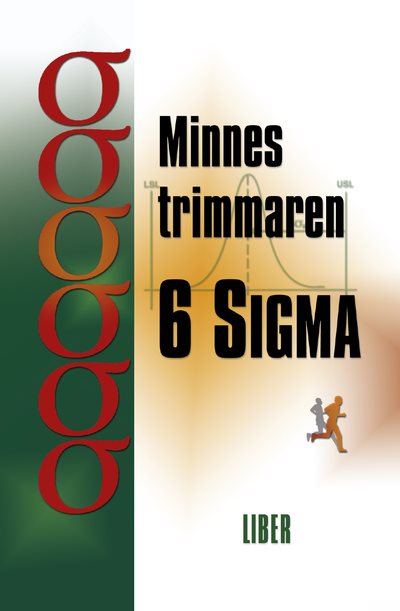 Minnestrimmaren 6 Sigma