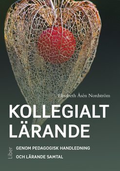 Kollegialt lärande