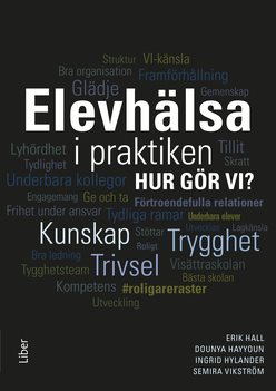 Elevhälsa i praktiken : hur gör vi?