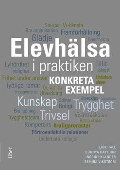 Elevhälsa i praktiken : Konkreta exempel