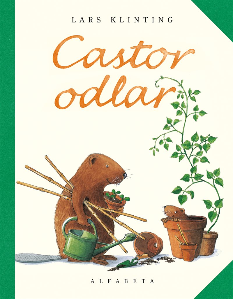 Castor odlar