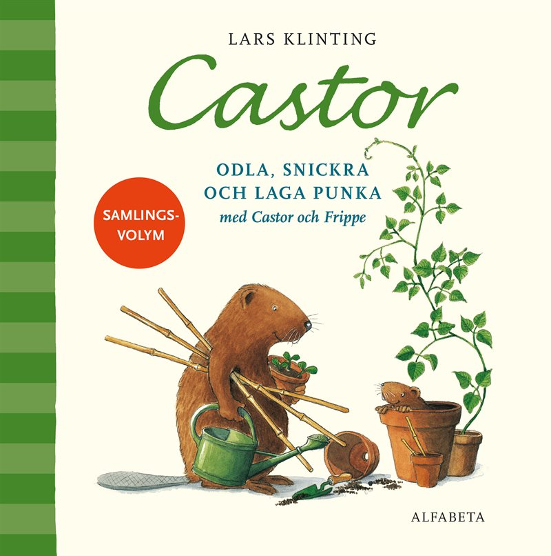 Castor. Odla, snickra och laga punka med Castor och Frippe