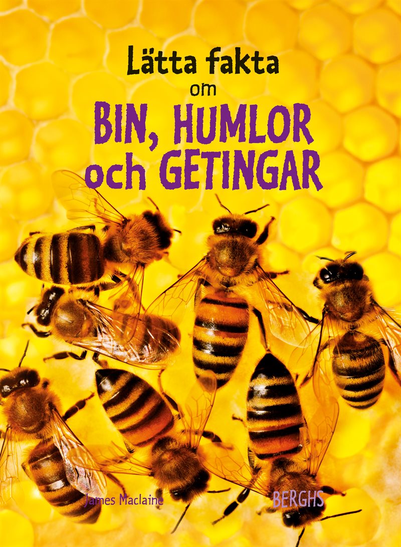 Lätta fakta om bin, humlor och  getingar