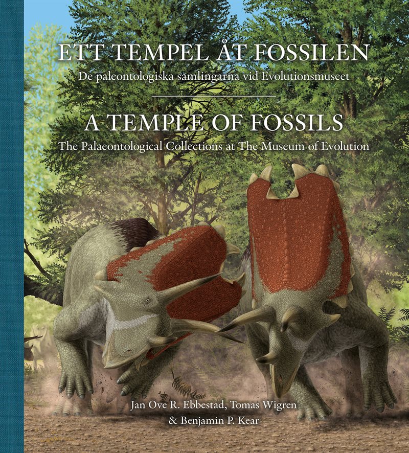 Ett tempel åt fossilen: De paleontologiska samlingarna vid Evolutionsmuseet