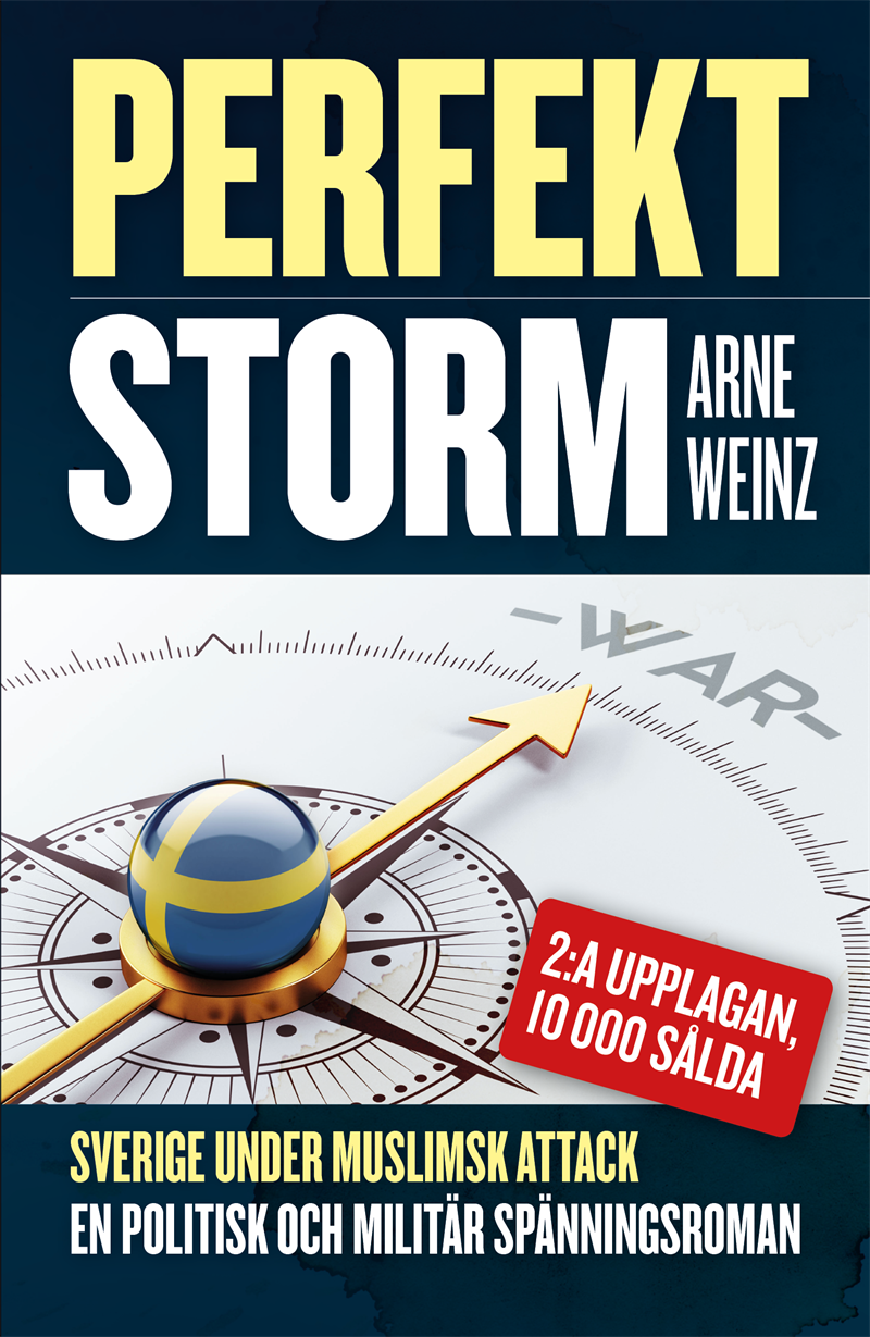 Perfekt storm