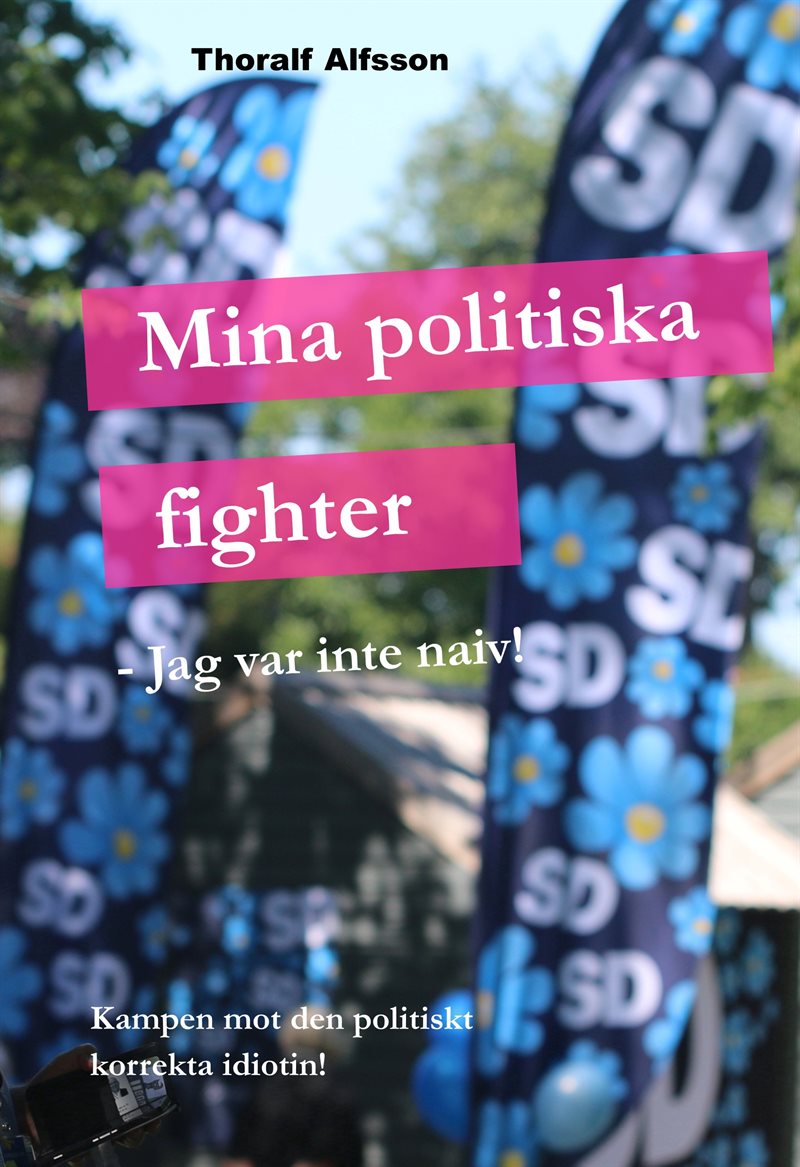 Mina politiska fighter