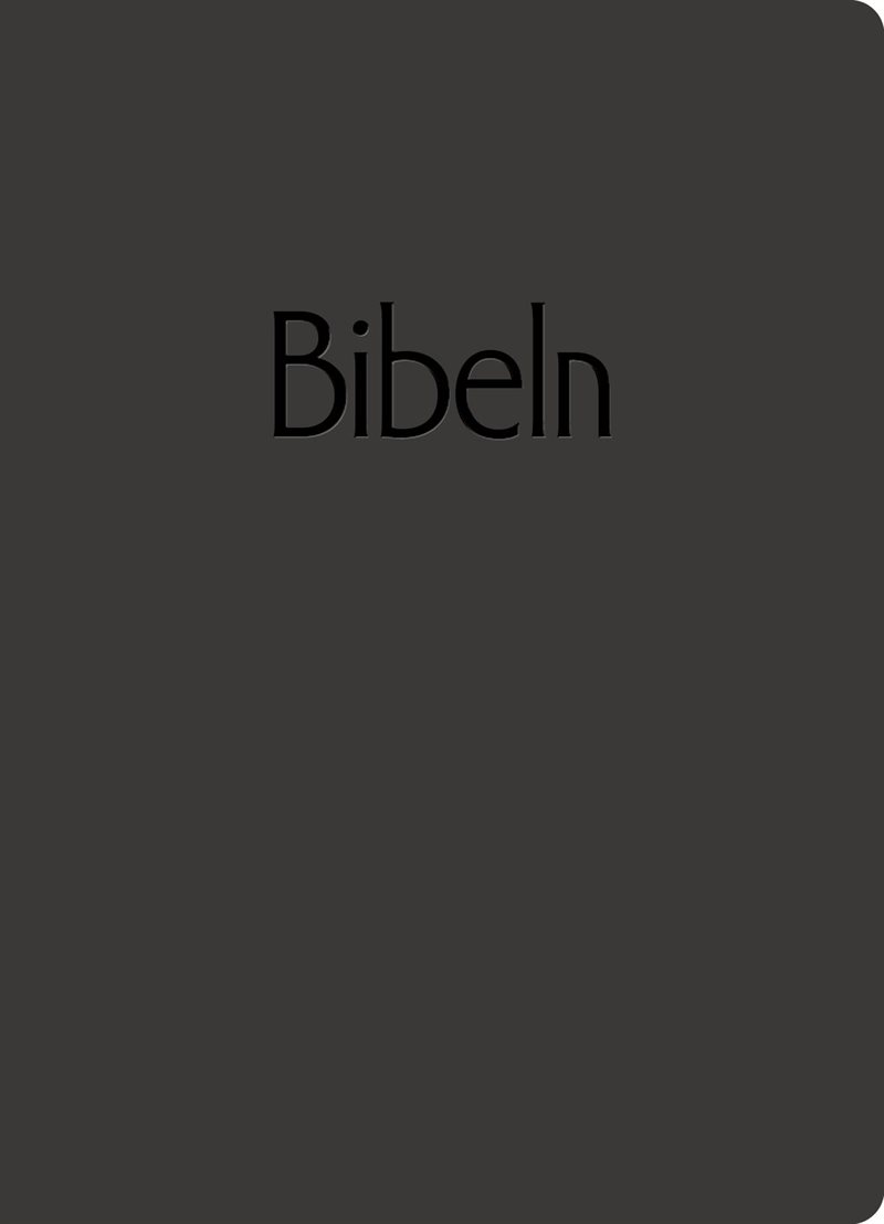 Bibel 2026 svart
