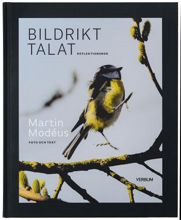 Bildrikt talat : reflektionsbok