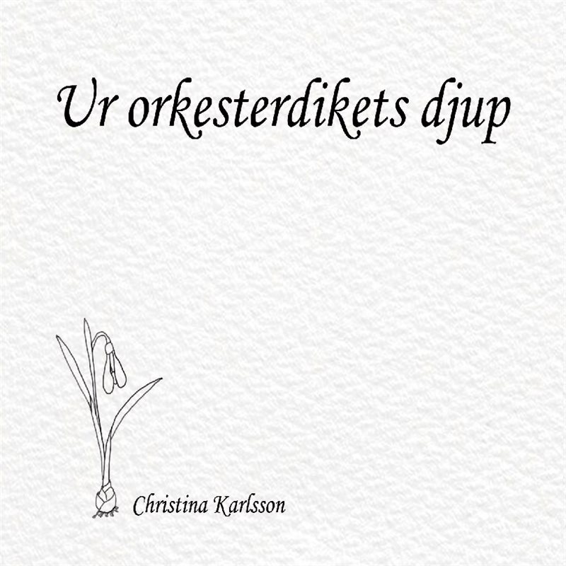 Ur orkesterdikets djup