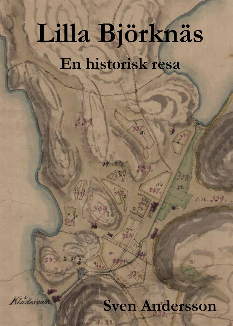 Lilla Björknäs : en historisk resa