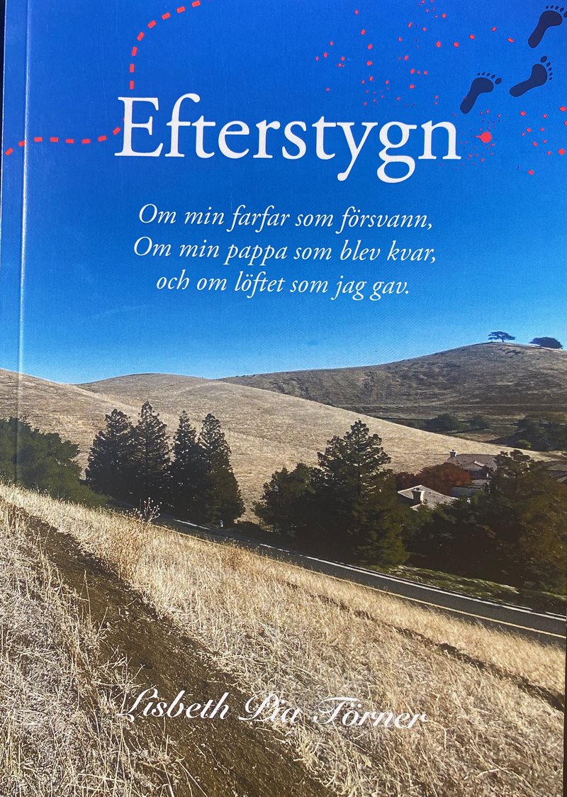 Efterstygn : om en farfar som försvann, om min pappa som blev kvar, och om löftet jag gav