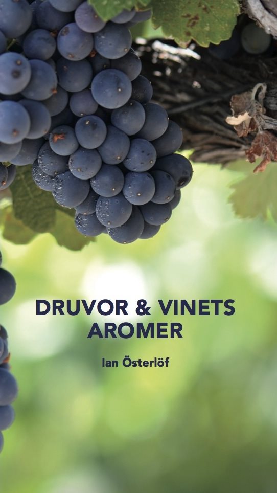 Druvor & vinets aromer