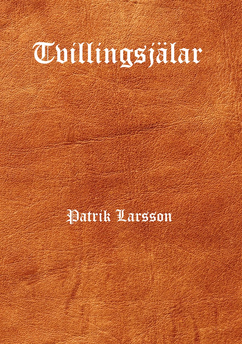 Tvillingsjälar