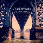 Underverk : skivboken