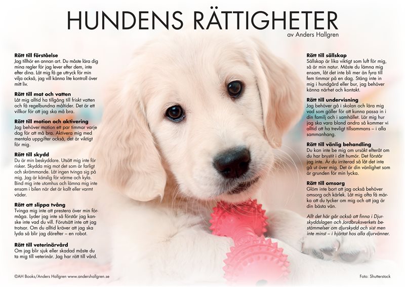 Hundens rättigheter - poster