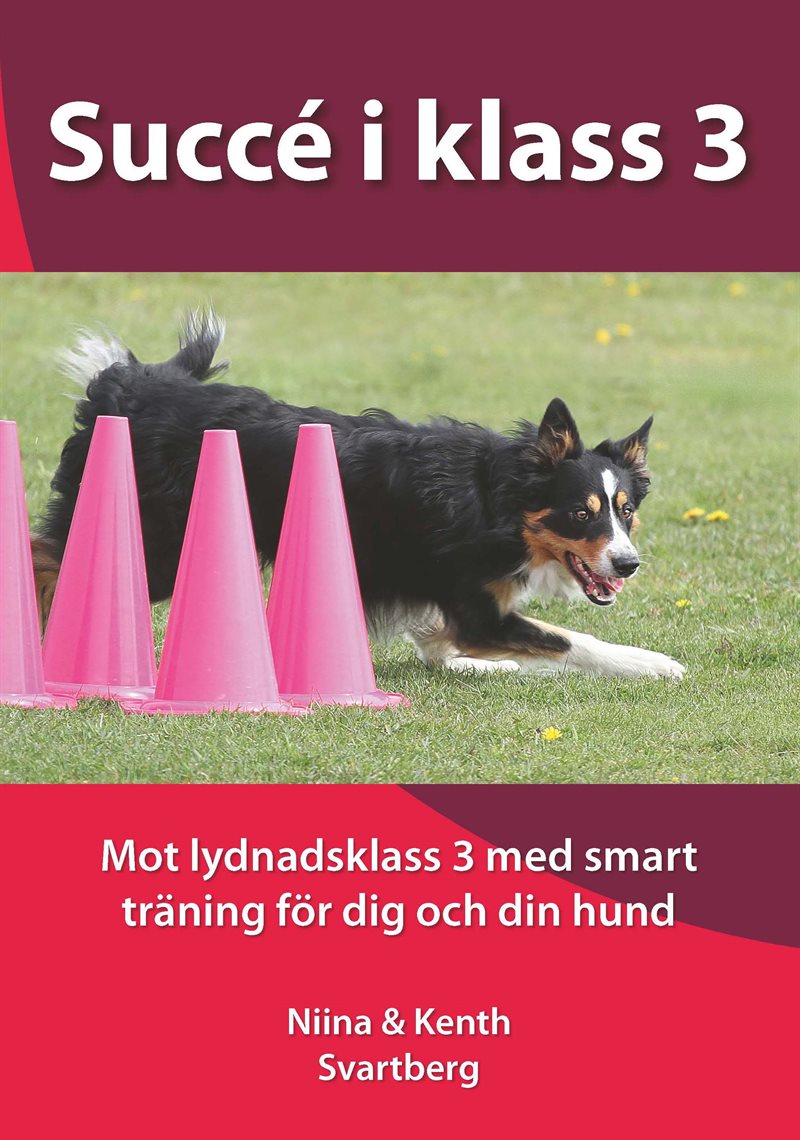 Succé i klass 3 : mot lydnadsklass 3 med smart träning för dig och din hund