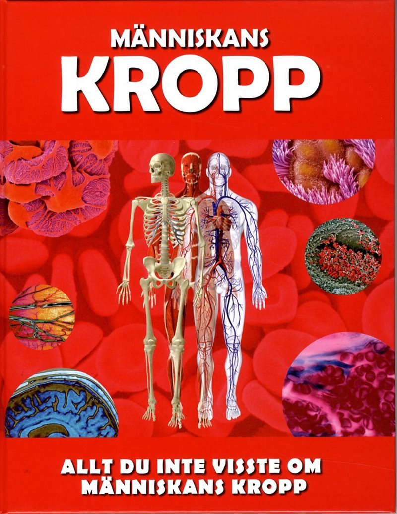 Människans kropp