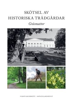 Skötsel av historiska trädgårdar : gräsmattor