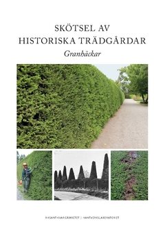 Skötsel av historiska trädgårdar : granhäckar