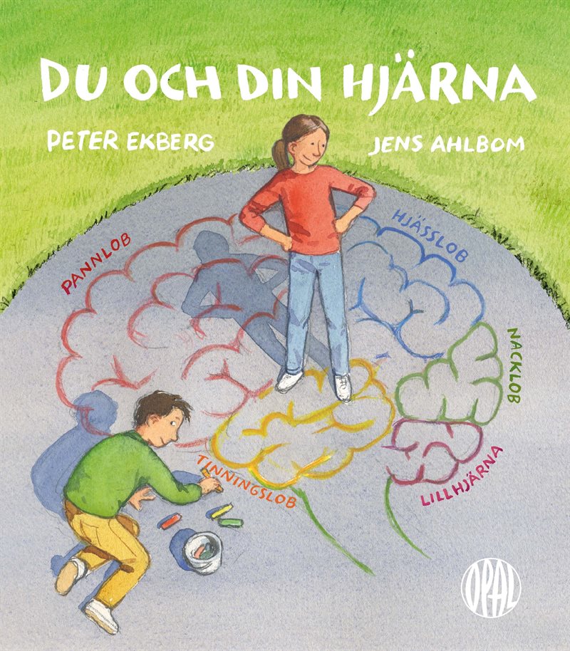 Du och din hjärna