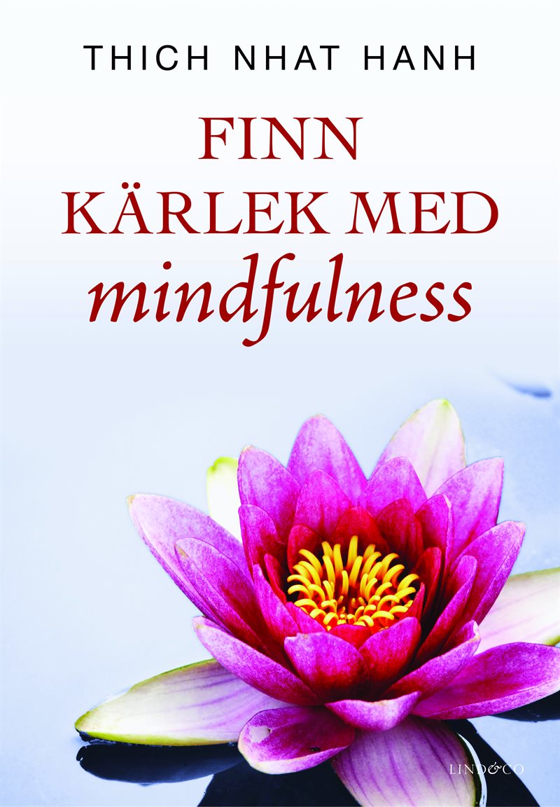 Finn kärlek med mindfulness