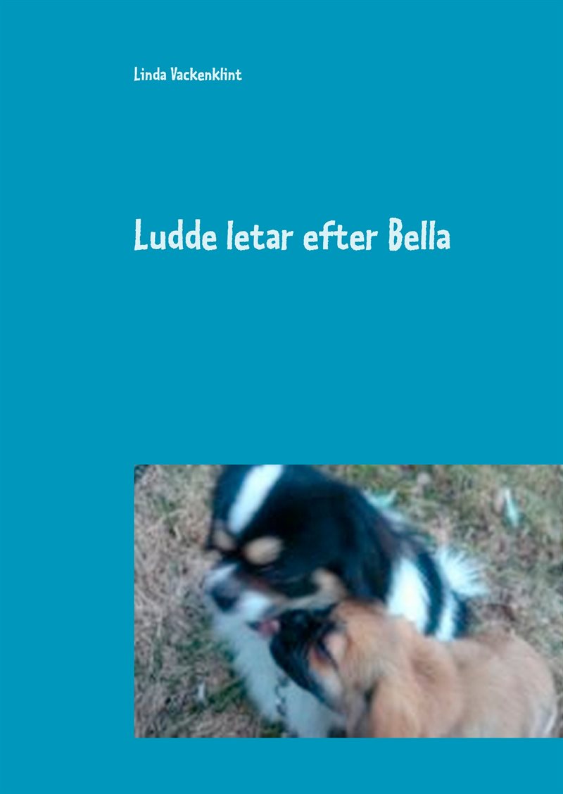 Ludde letar efter Bella