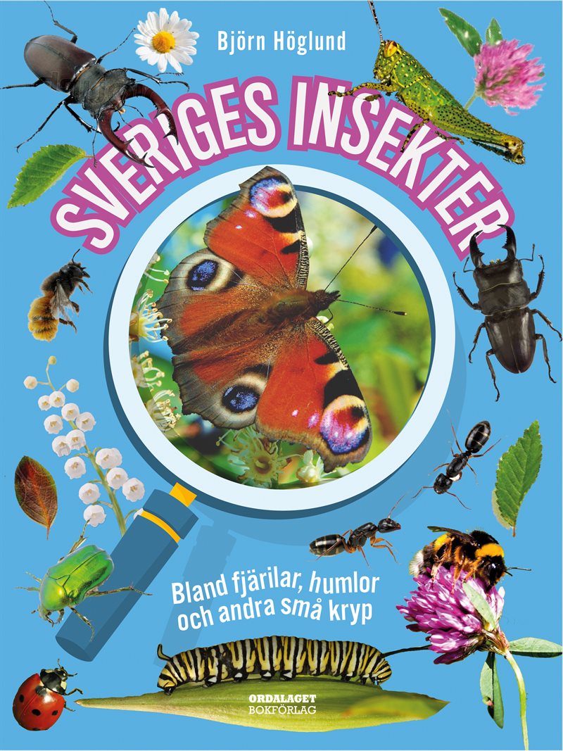 Sveriges insekter :  bland fjärilar, humlor och andra små kryp