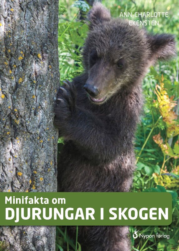 Minifakta om djurungar i skogen