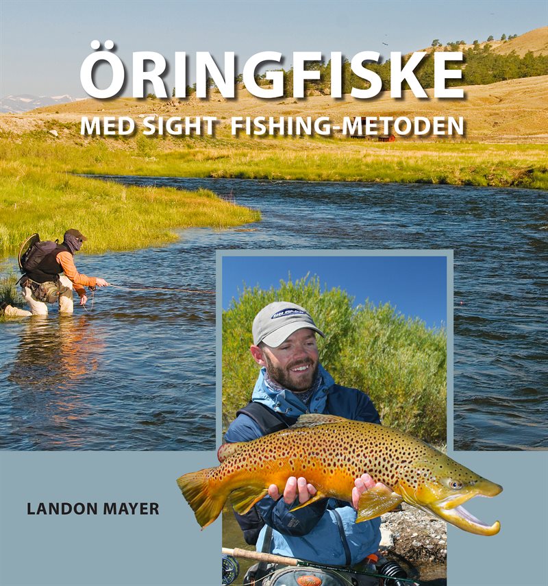 Öringfiske med sight fishing-metoden