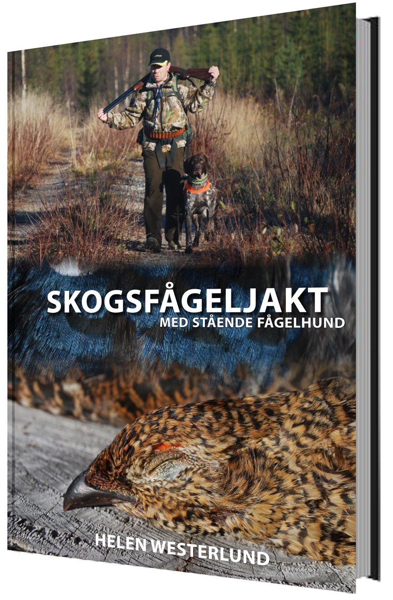 Skogsfågeljakt med stående fågelhund