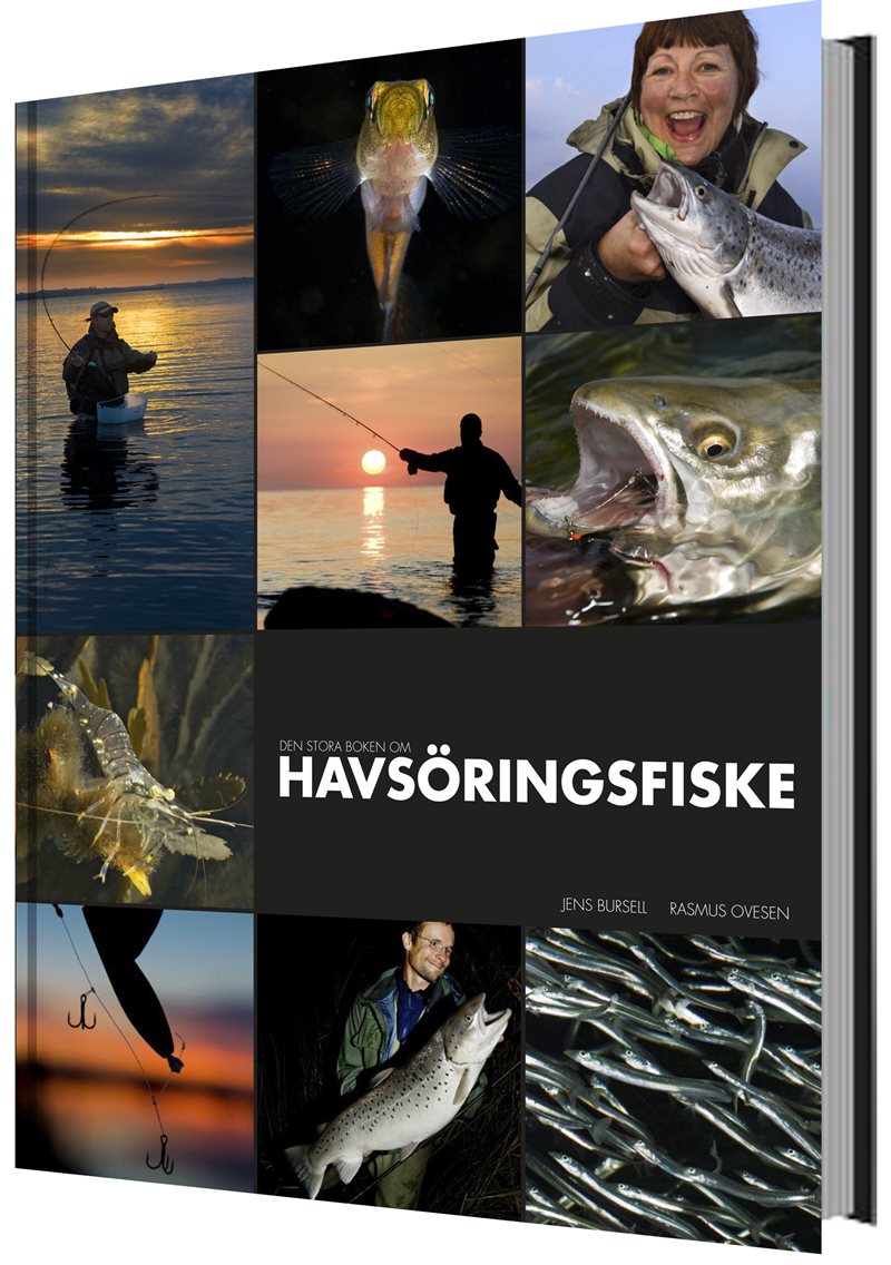 Den stora boken om havsöringsfiske