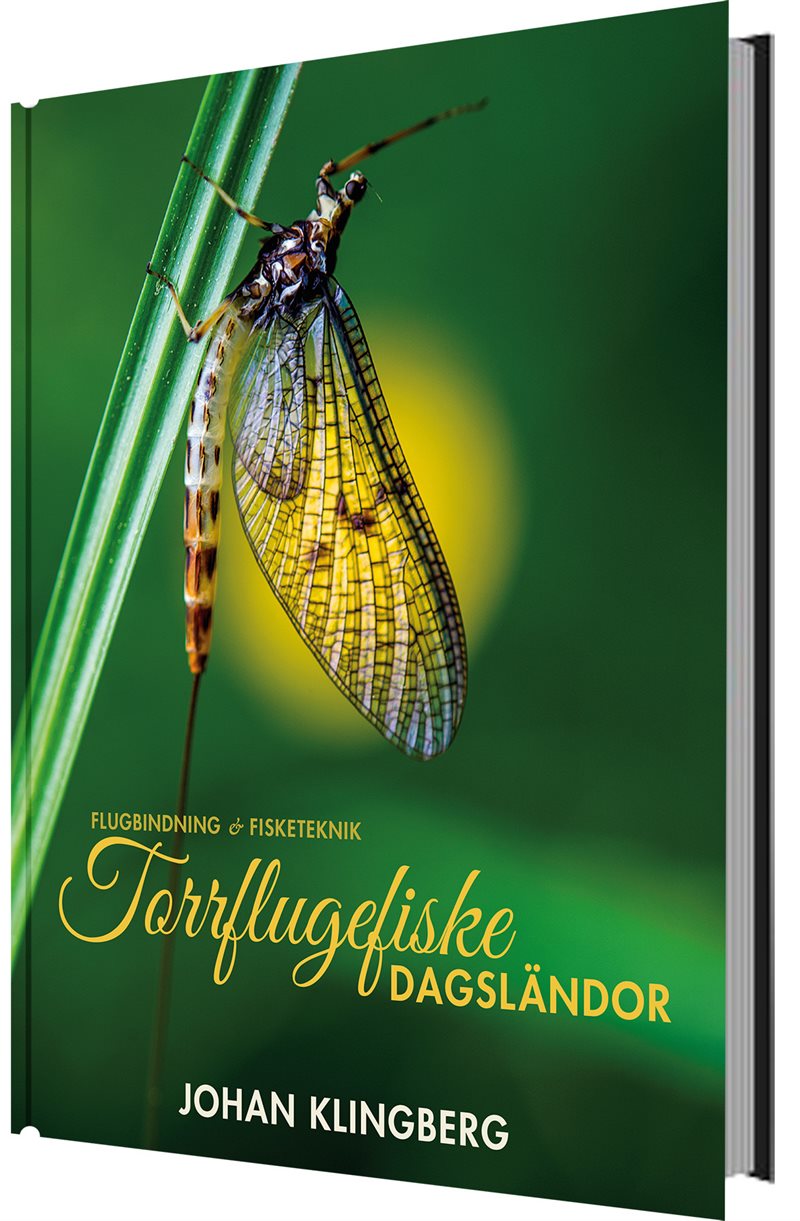 Torrflugefiske : dagsländor