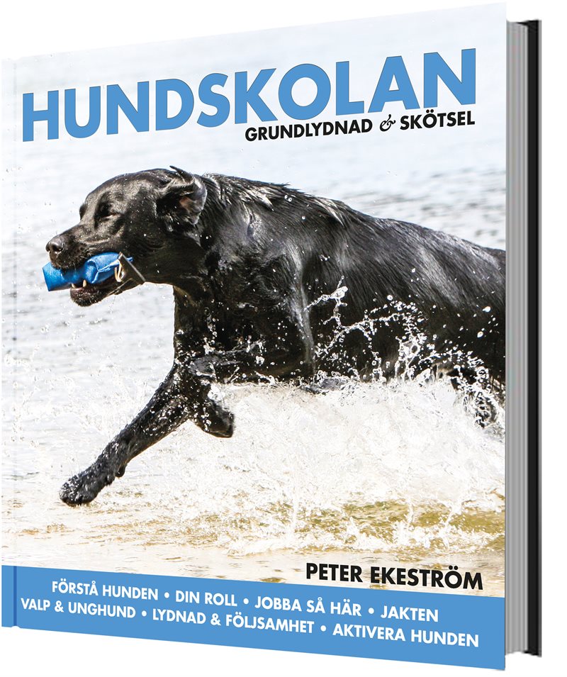 Hundskolan : grundlydnad & skötsel