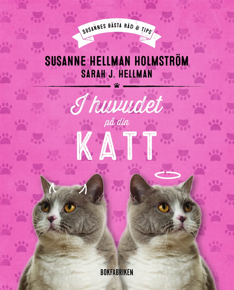 I huvudet på din katt